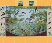 Магнитный плакат. Природное сообщество водоема  - Файв - оснащение школ и детских садов