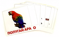 Птицы. 20 развивающих карточек - Файв - оснащение школ и детских садов