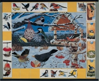 Магнитный плакат. Птицы зимой - Файв - оснащение школ и детских садов