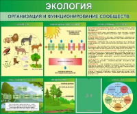 Стенд. Экология. Организация и функционирование сообществ  (120х100 см) - Файв - оснащение школ и детских садов