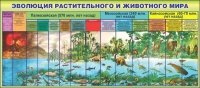 Стенд. Эволюция растительного и животного мира (160х70 см) - Файв - оснащение школ и детских садов