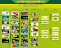 Стенд. Систематика животных (90х70 см) - Файв - оснащение школ и детских садов