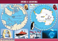 Таблица демонстрационная. Арктика и Антарктика (100х140 см, винил) - Файв - оснащение школ и детских садов