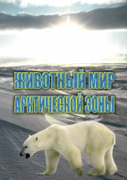 Видеофильм. Животный мир Арктической зоны - Файв - оснащение школ и детских садов